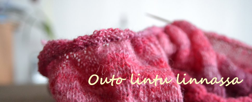 Outo lintu linnassa
